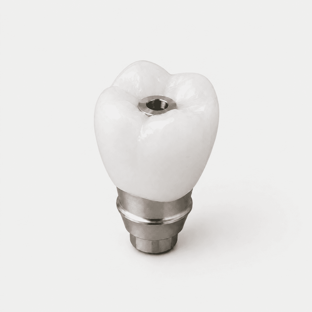 Zirconia Screw-Retained Crown with Ti-Base